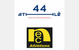 Ch Dépx 44 Triathlon Minimes M/F (CD44-NEC)