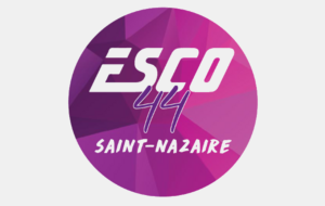 Meeting Régional Hauteur de l'ESCO44 