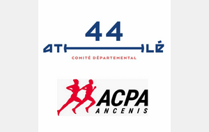 Chpts Départ. Triathlon Be (matin) et Mi (après-midi)  -  ANCENIS