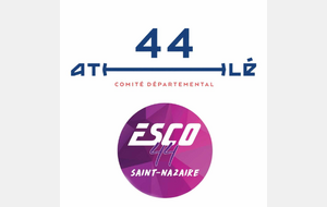 Chpts Départementaux Ca à  Ma - ST-NAZAIRE - 2ème journée